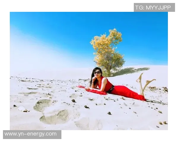 霍伊伦的传奇人生与科学探索之路：从理论到实践的跨越与启示